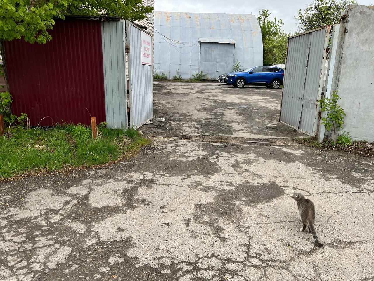 Гостиница Бриз Рязань-84