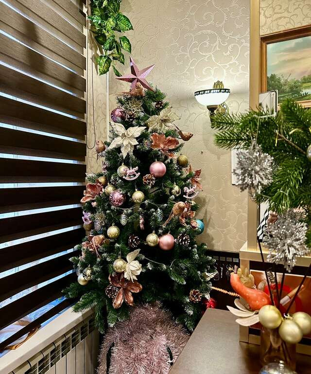 Гостиница Бриз Рязань-58