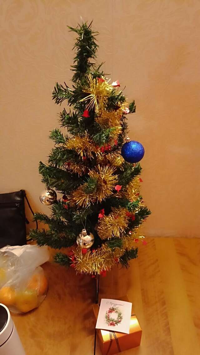 Гостиница Бриз Рязань-102