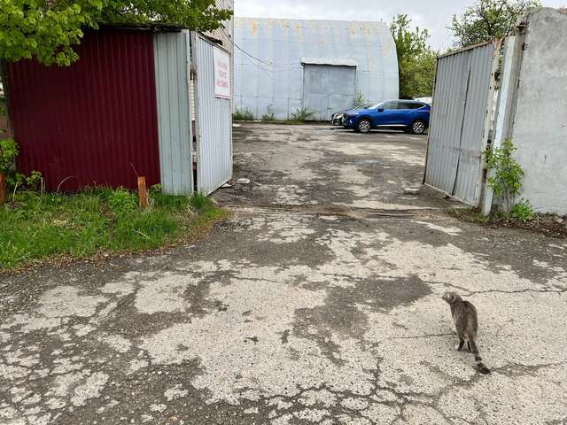 Гостиница Бриз Рязань-83