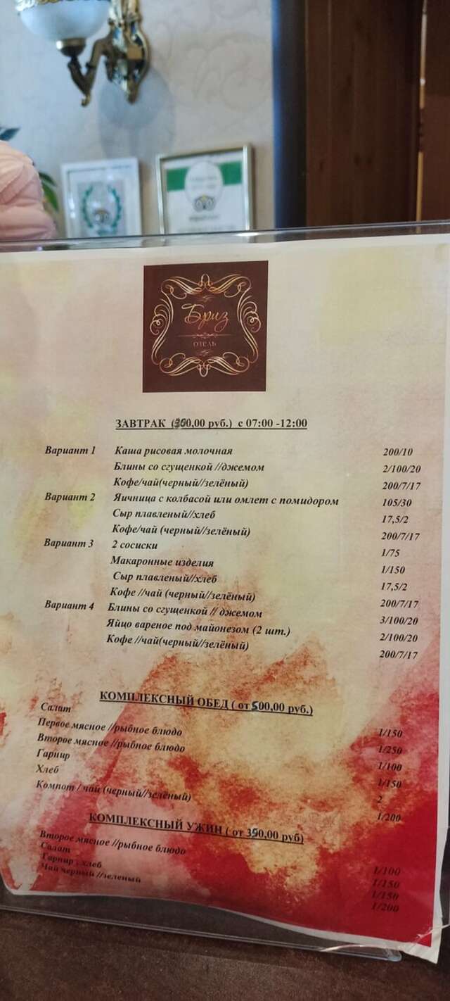 Гостиница Бриз Рязань-93